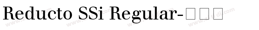 Reducto SSi Regular字体转换